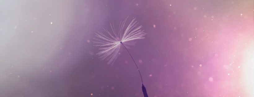 ThetaHealing® Manifestieren und Fülle: Neues Seminar im April