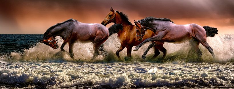 Energie der Zeit: Februar 2020