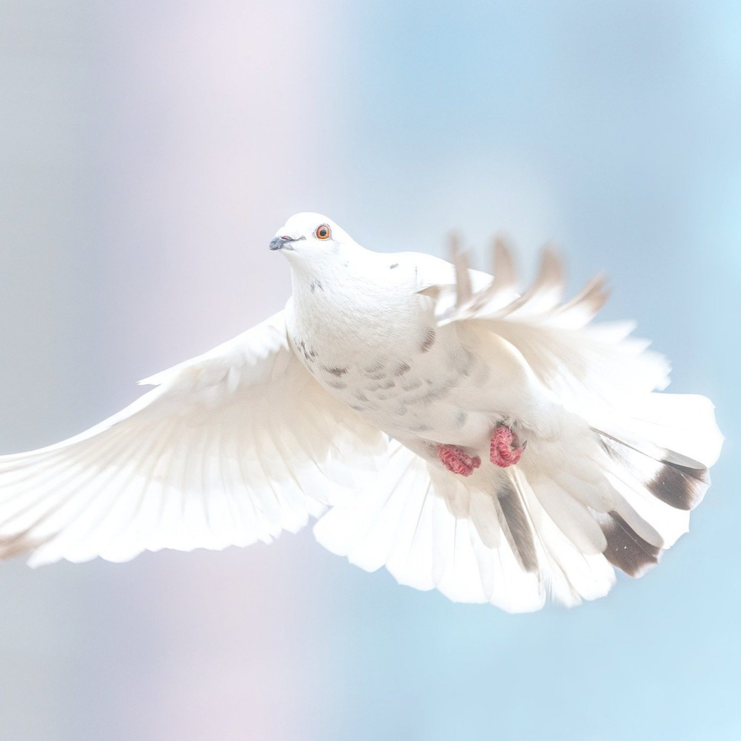 ThetaHealing Praxis-Tipp: Verzeihen