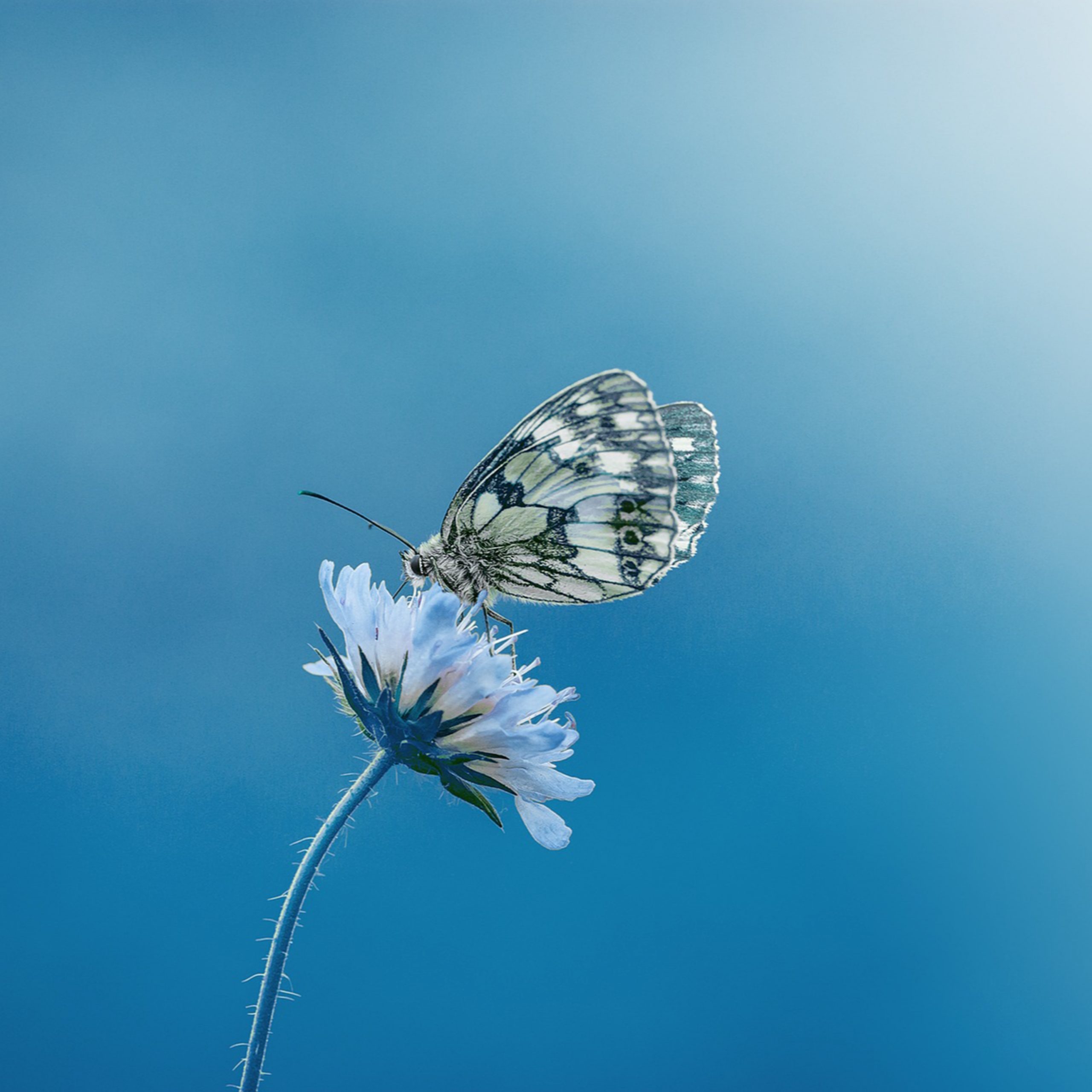 Was ist ein „People Pleaser“?