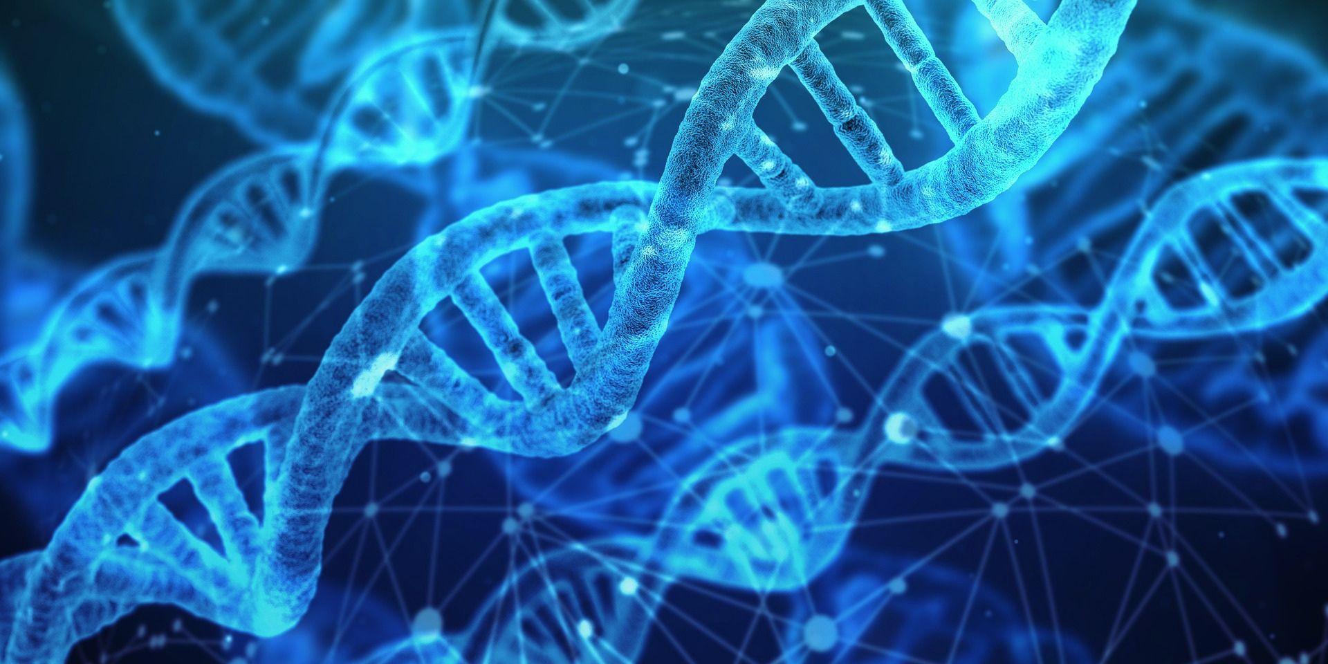 Aktiviere Deine kosmische DNA - Birgit Golms - Theta Bridge - Spirituelle Mentorin & Seelenplanexpertin